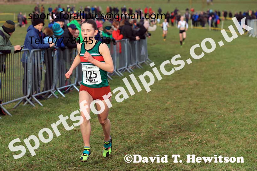 Girls Under-15s 2024 Northern Cross Country Champs., Sedgefield. Photo: David T. Hewitson/Sports for All Pics